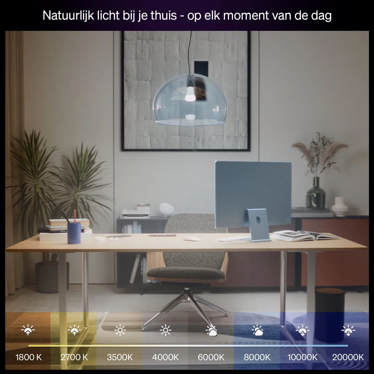 Philips Hue Slimme LED A67 RGBW E27 - 2 Stuks - Mat Glas