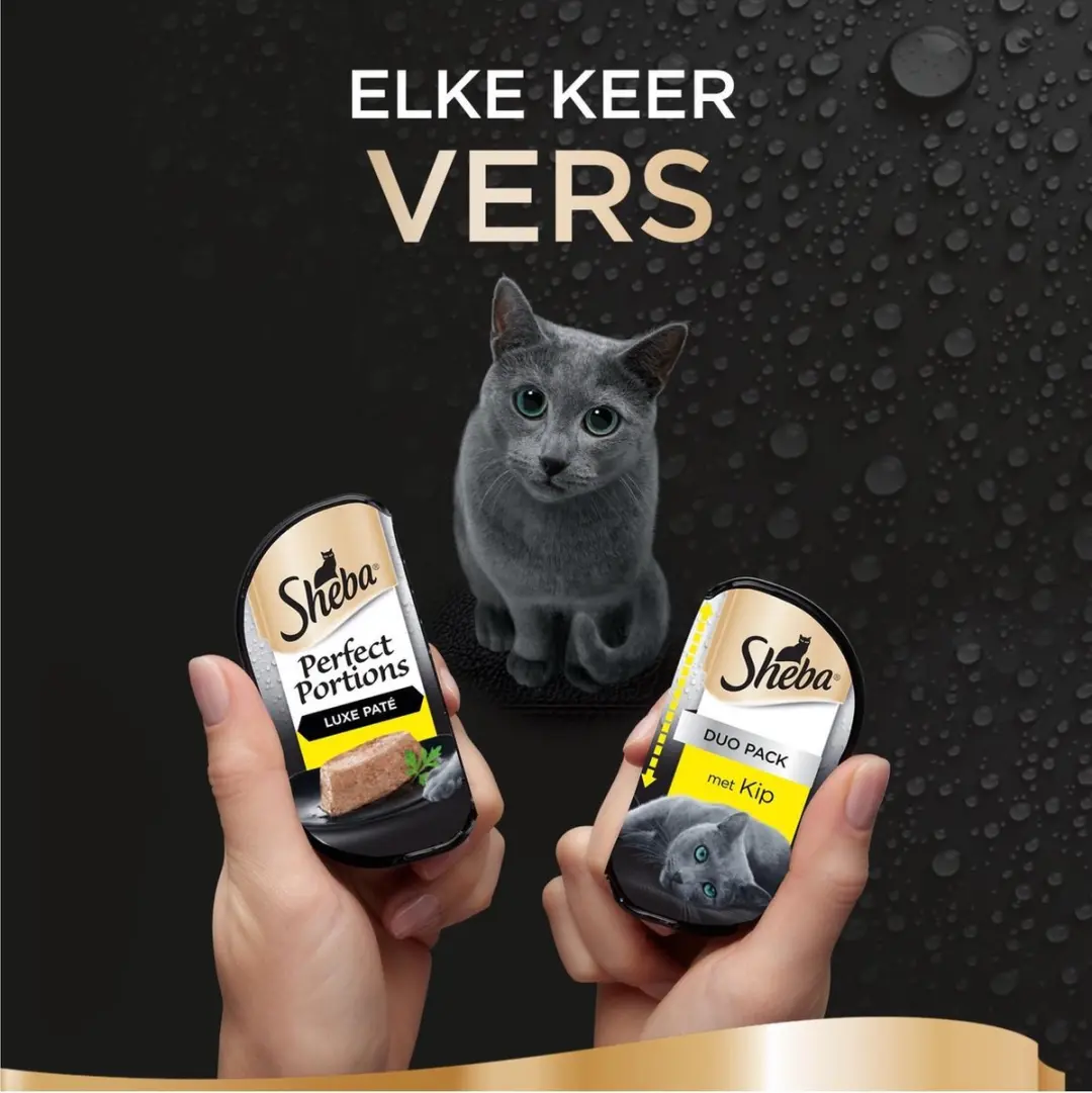 Sheba Perfect Portions Adult Kip - 6 Stuks - afbeelding 6 van 6
