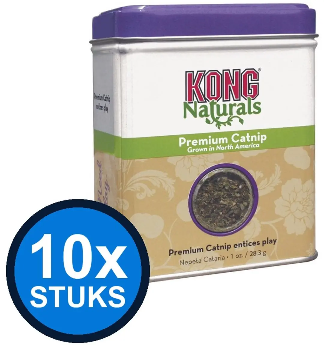 KONG Catnip Premium 1st