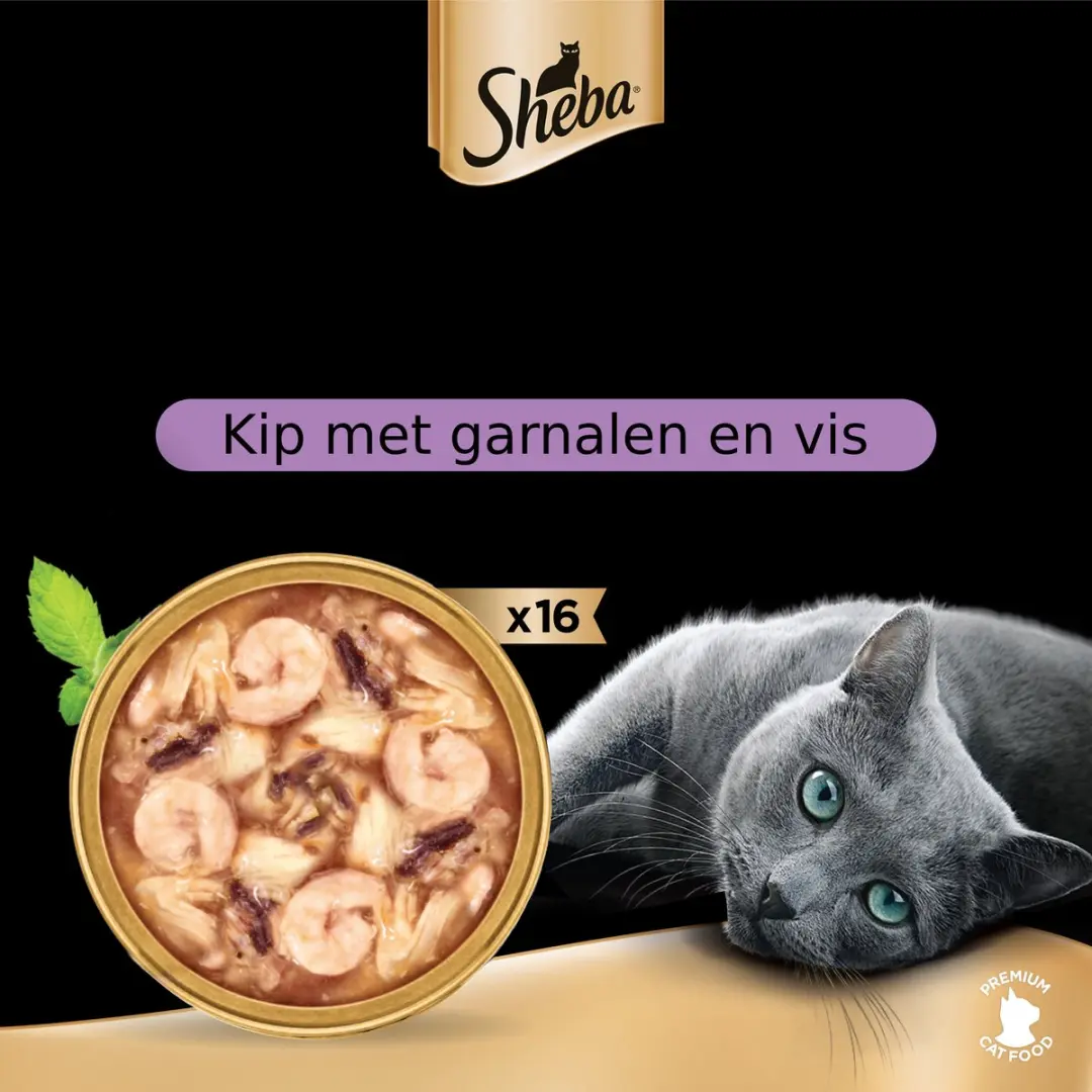 Sheba Filets Garnaal Oceaanvis Kip 16x60g