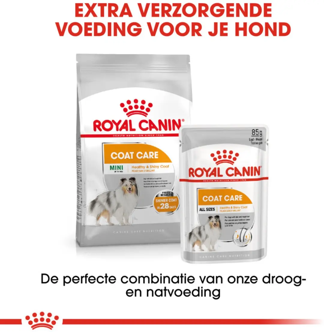 Royal Canin Coat Care Natvoer - 96x85g