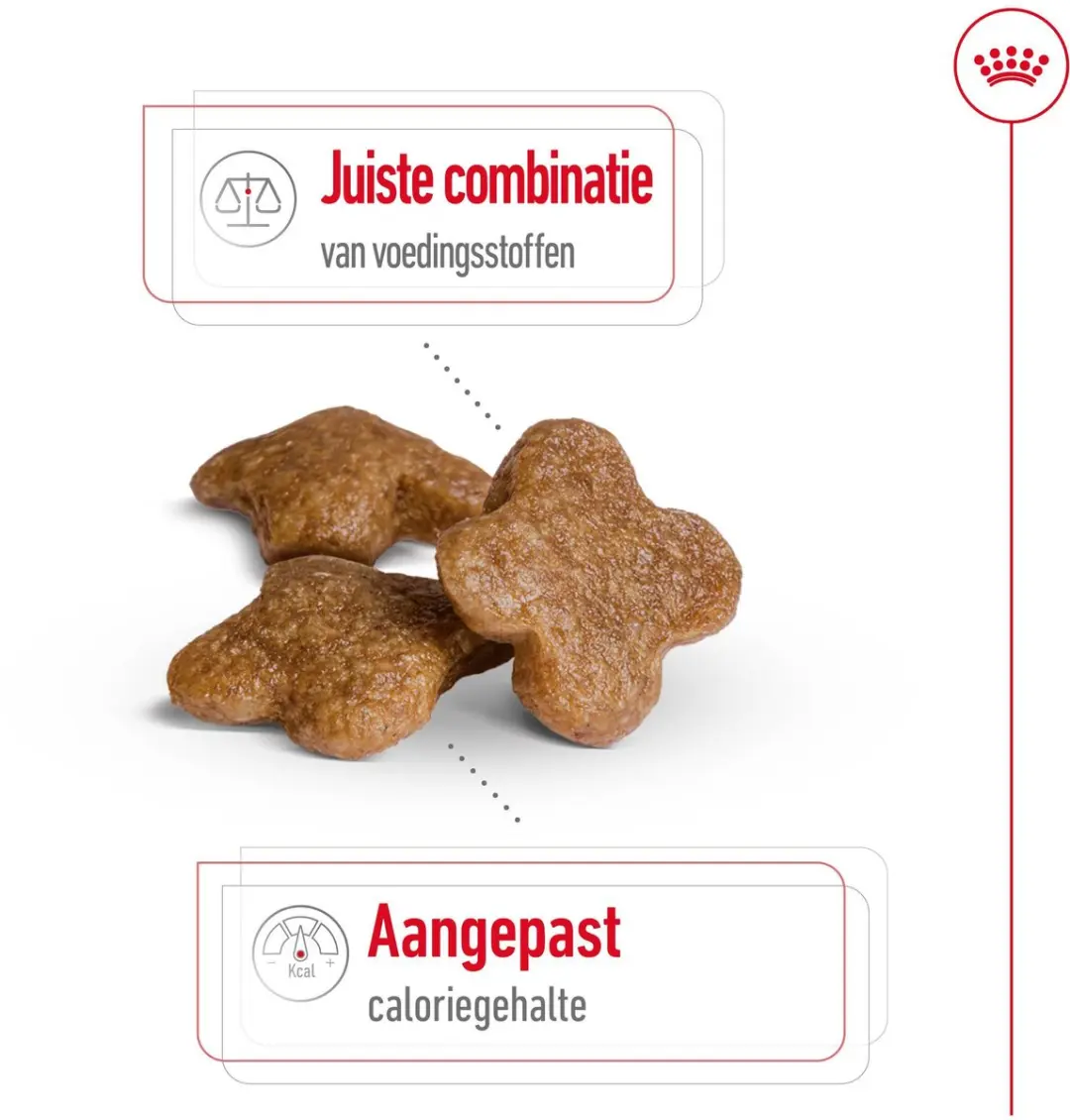 Royal Canin Mini Adult +8 2kg