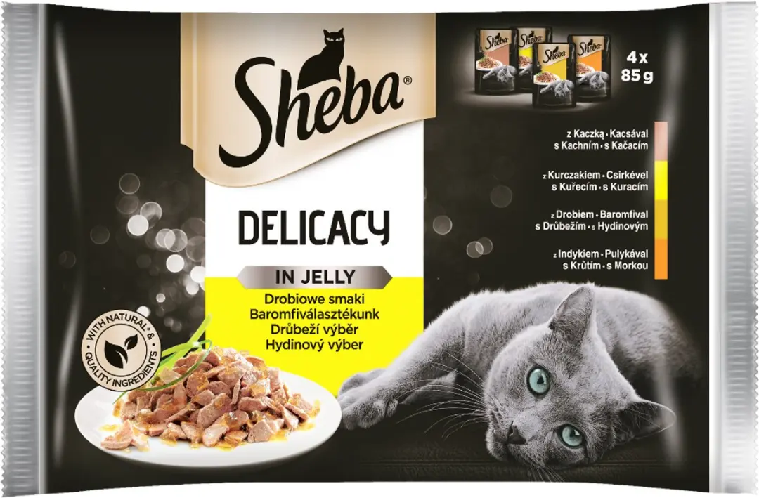 Sheba Delicacy in Jelly Gevogelte 4x85g
