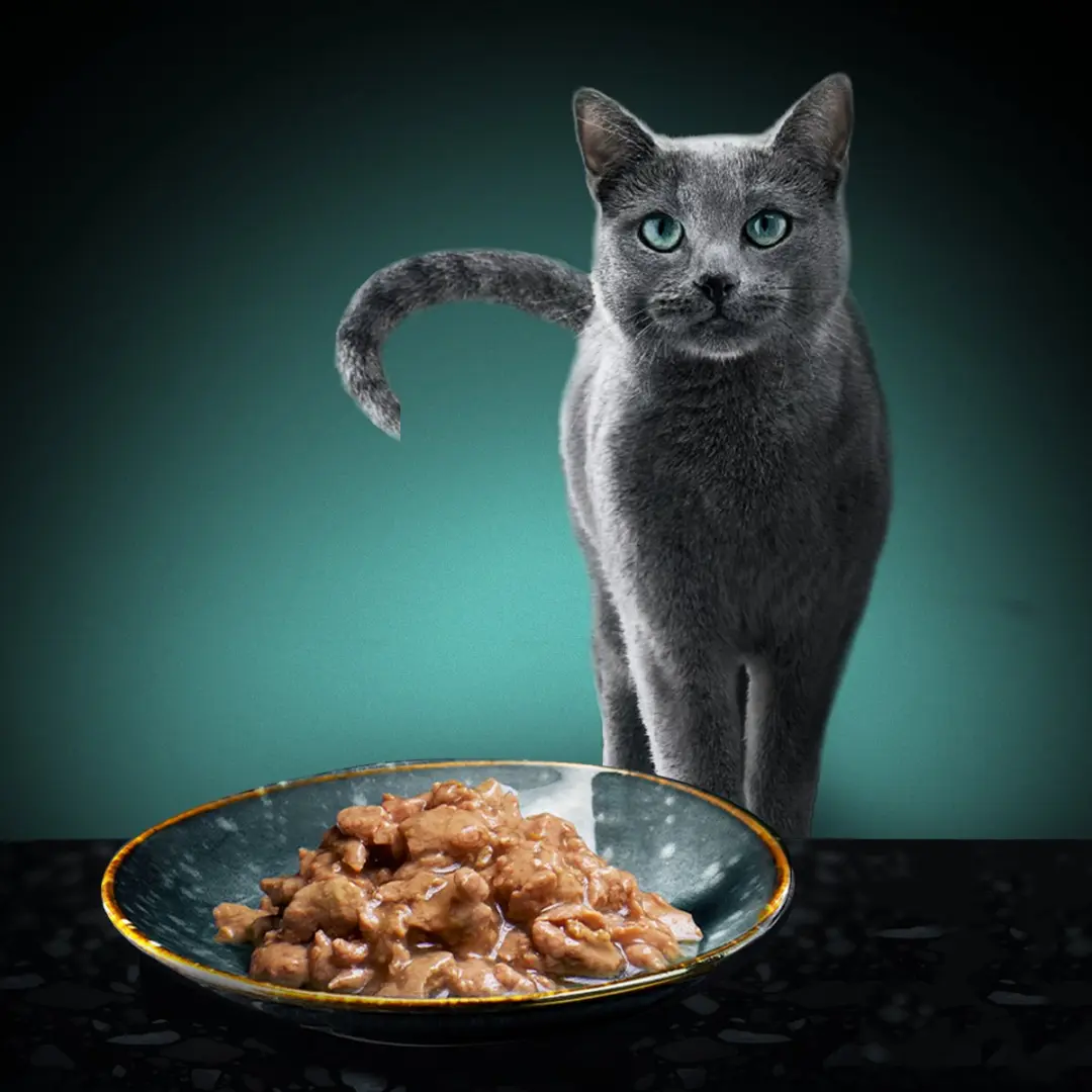 Sheba Delicatesse Maaltijdzakjes Vis Selectie 60x85g