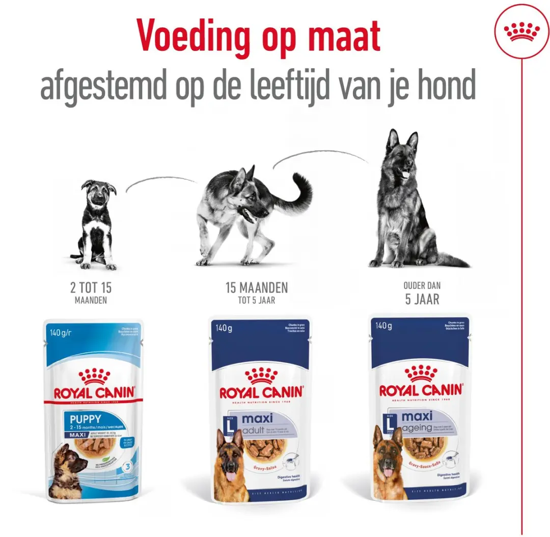 Royal Canin Maxi Ageing 8+ Natvoer - 10x140g