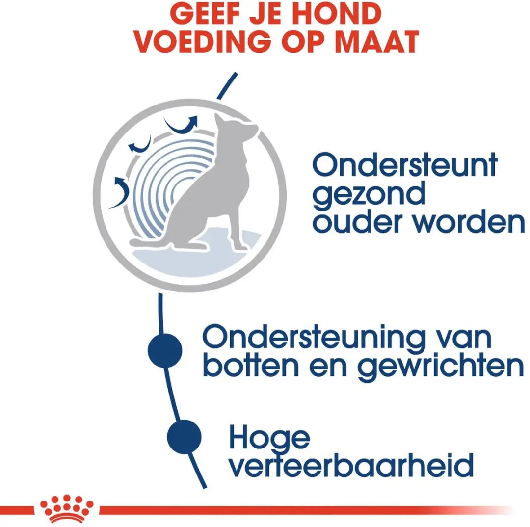 Royal Canin Maxi Ageing 8+ Natvoer - 10x140g - afbeelding 6 van 6