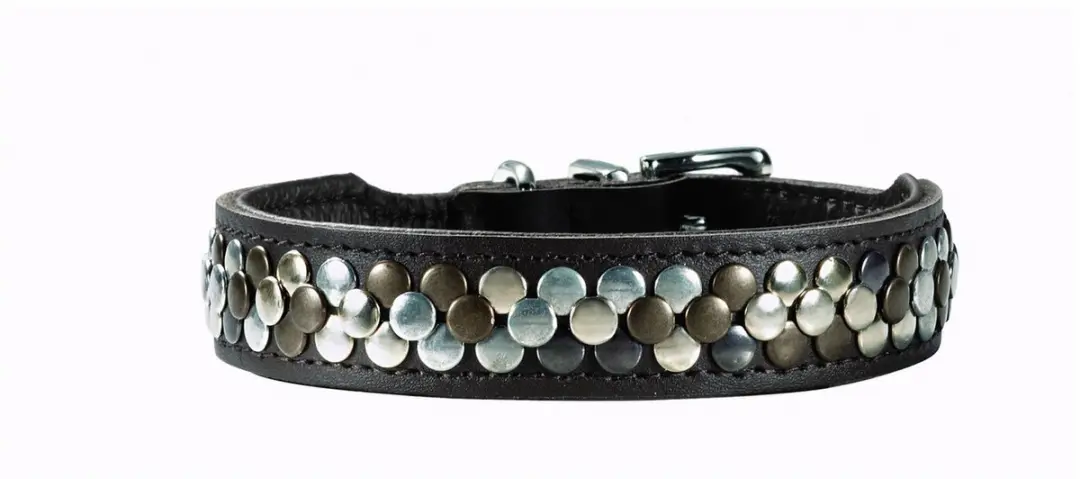 Hunter Arizona Hondenhalsband