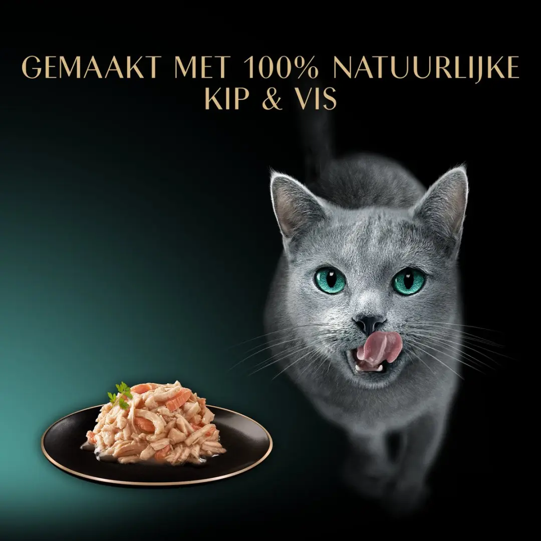 Sheba Filets Gevogelte & Zalm 16x60g