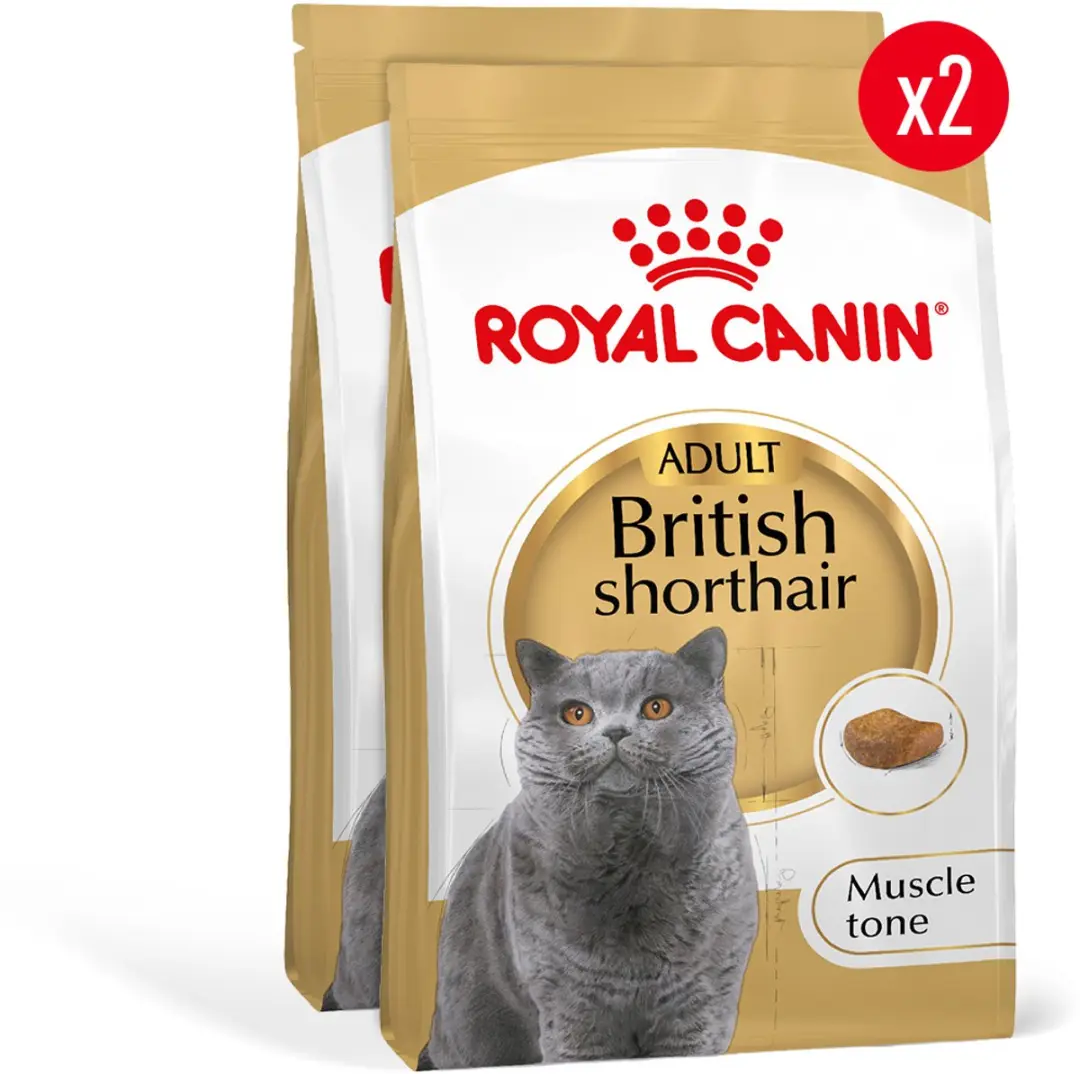 Royal Canin British Shorthair Adult