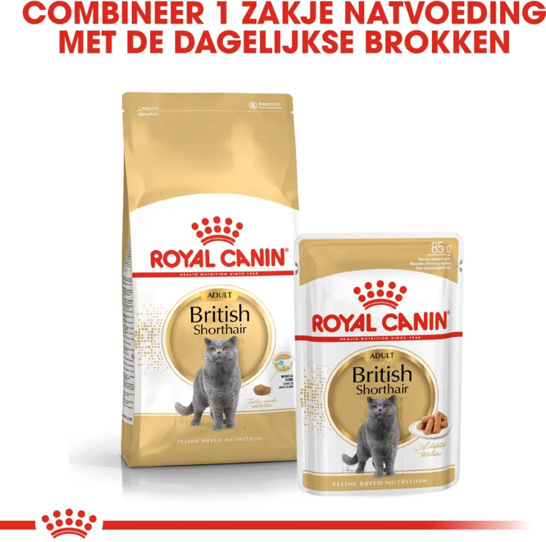 Royal Canin British Shorthair Adult 2x4kg