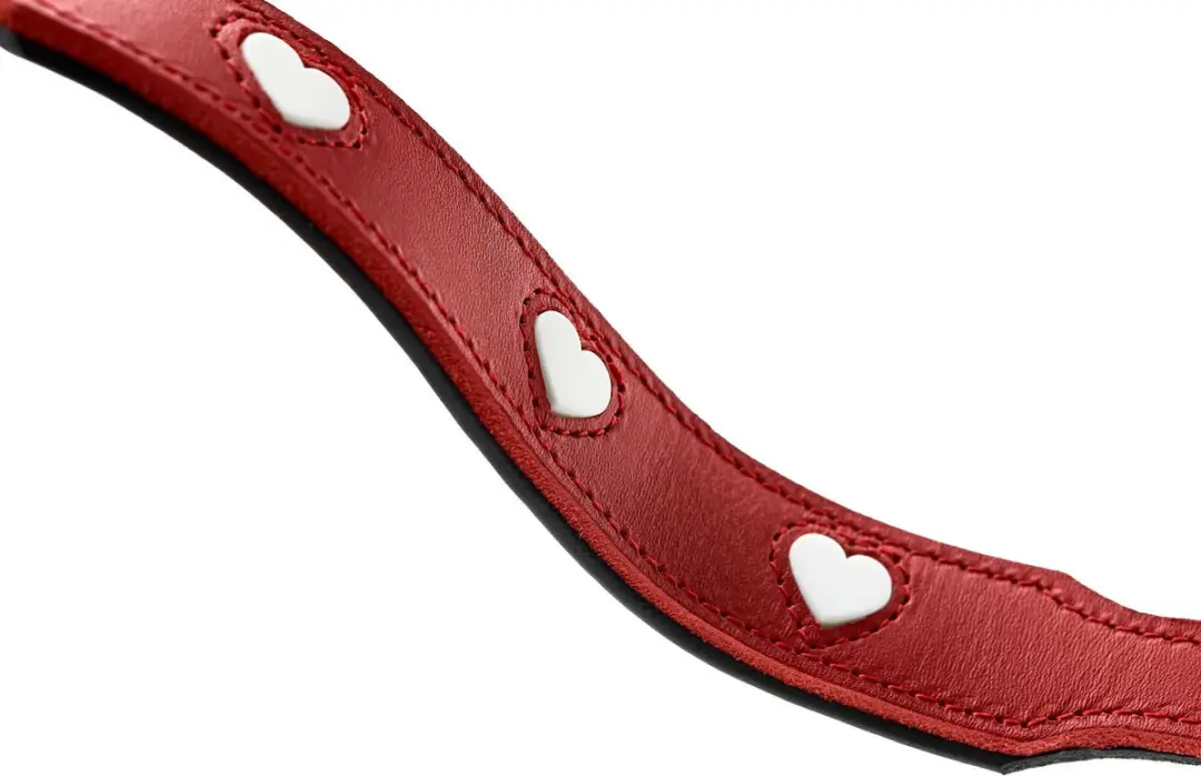 Hunter Training Leash Love Hondenriem - One Size - Zwart/Wit/Rood - afbeelding 5 van 5