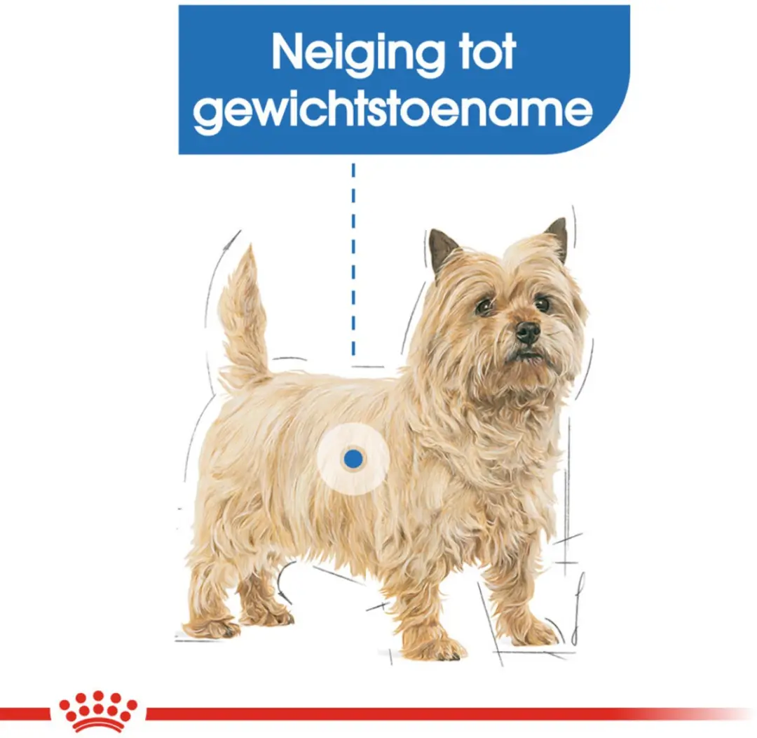 Royal Canin Nat Light Weight Care Hondenvoer - 48x85g