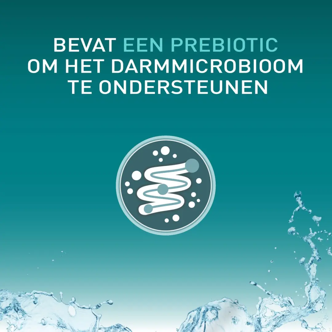 Purina ONE Hydralife Natvoer Zalm - 24 Stuks