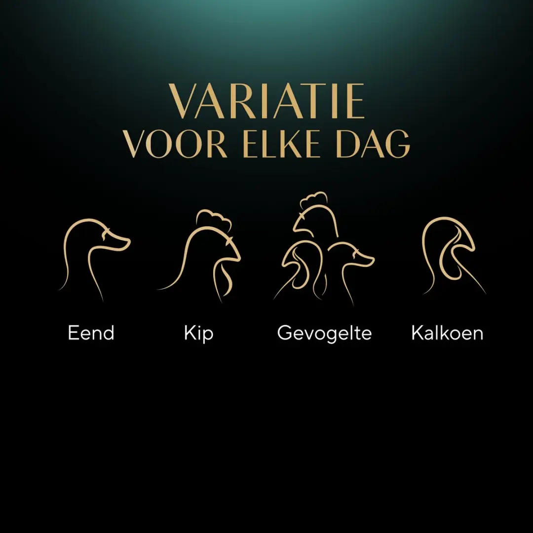 Sheba Délicatesses Gevogelte in Gelei Kattenvoer - 40x85g
