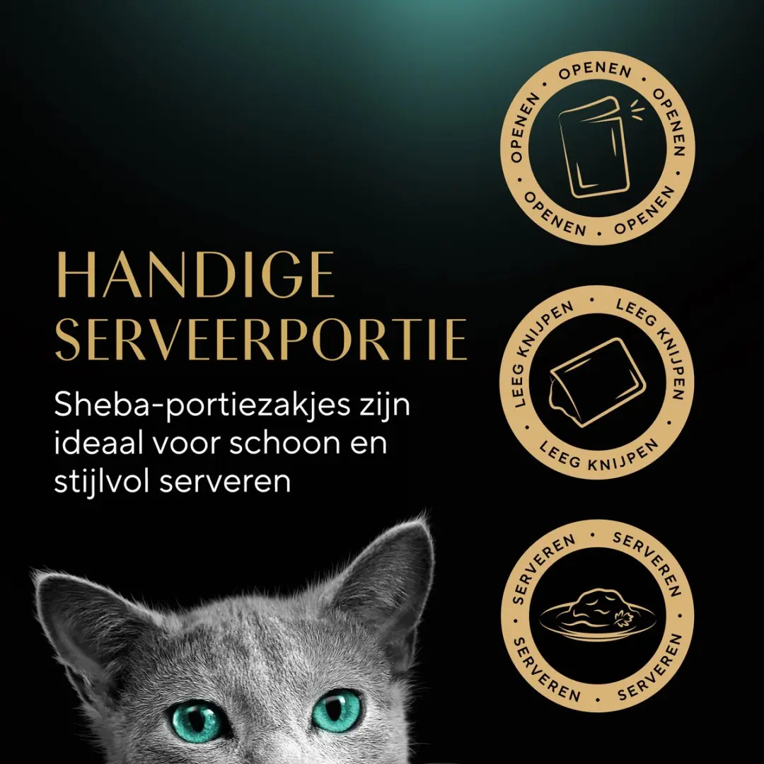 Sheba Délicatesses Gevogelte in Gelei Kattenvoer - 40x85g