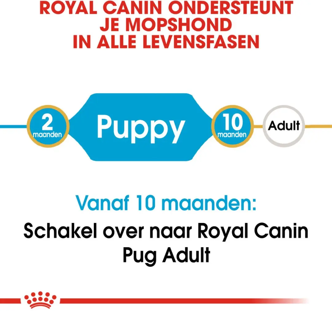 Royal Canin Mopshond Junior Hondenvoer - 1,5 kg