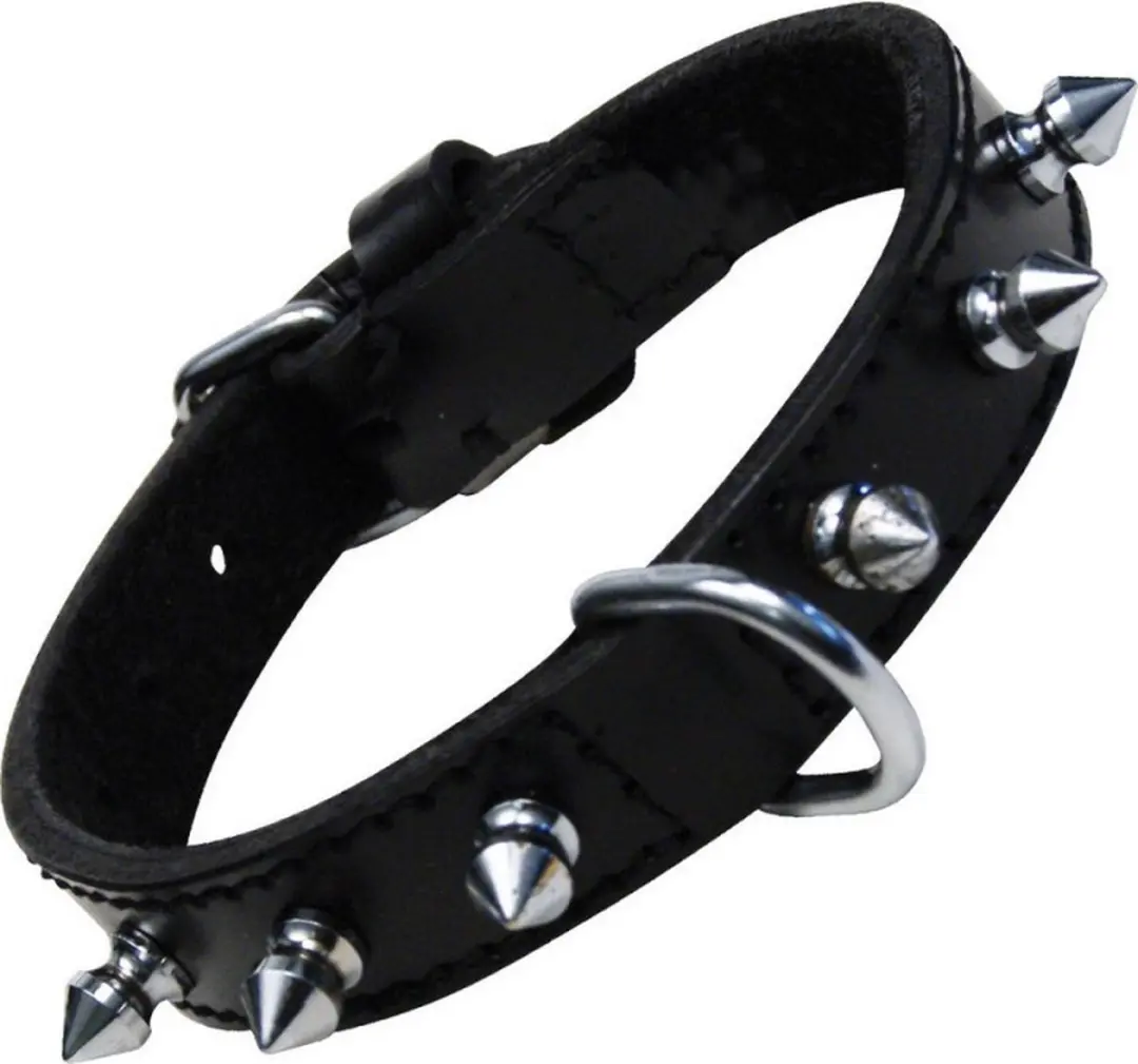 Gloria Black Spikes Hondenhalsband 35cm