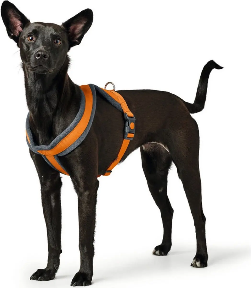 Hunter London Comfort Hondentuigje 52-62cm - Oranje