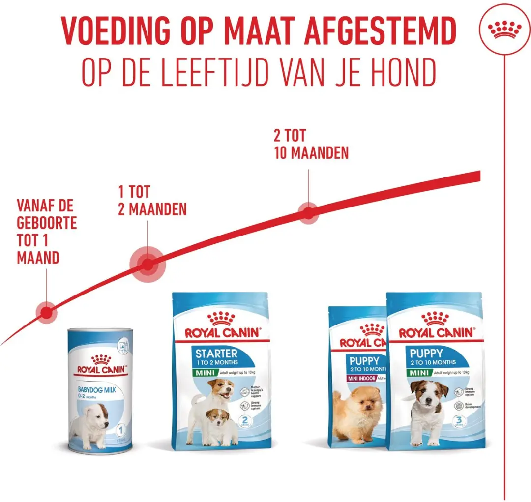 Royal Canin Mini Starter Moeder & Puppy 8kg