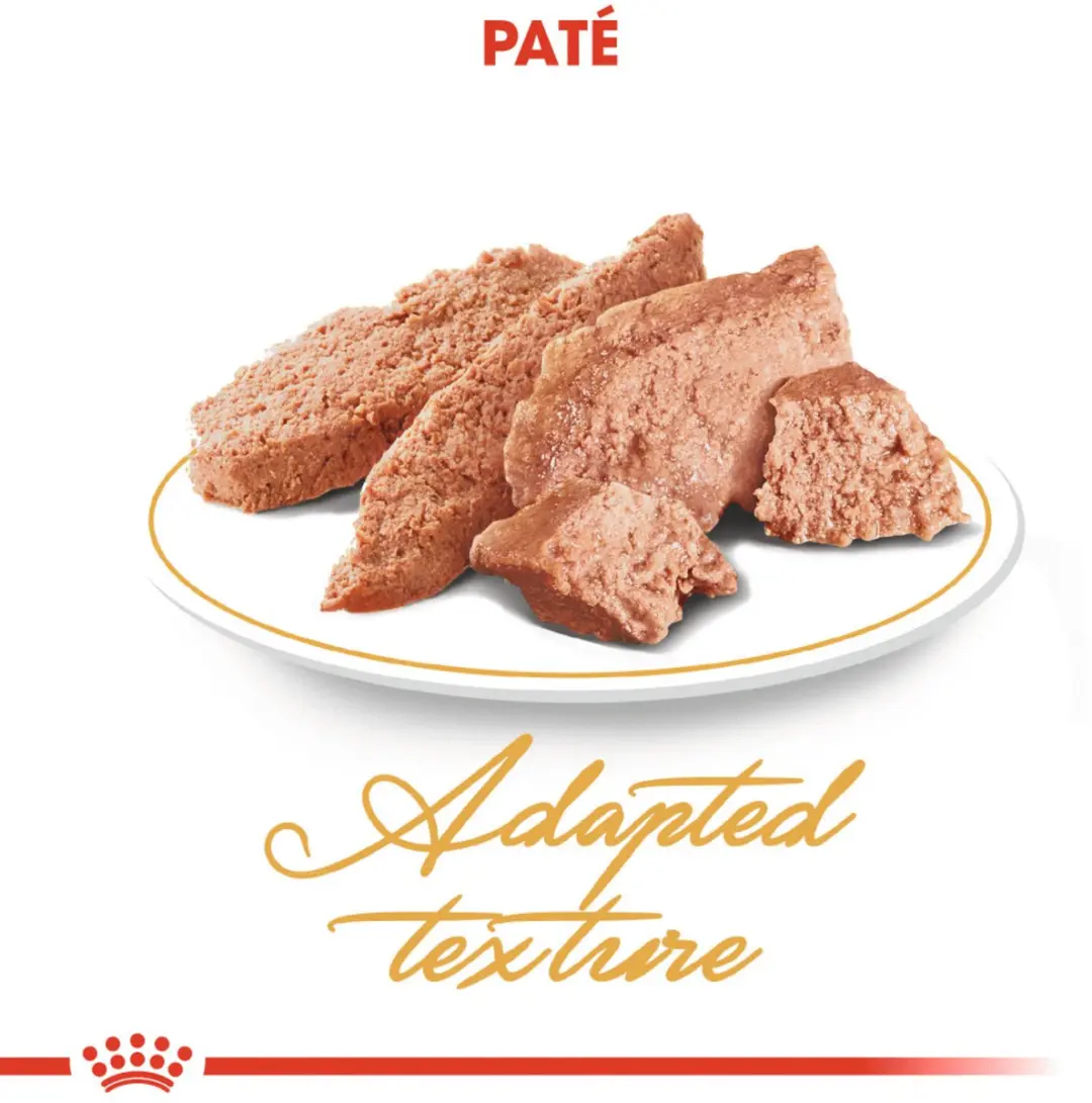 Royal Canin Persian Adult Kattenvoer - 12x85g