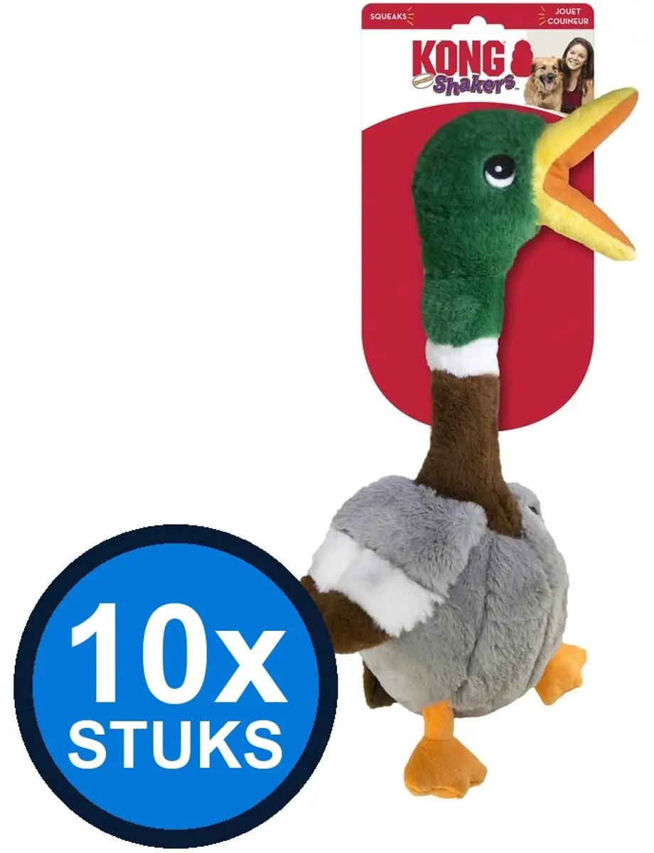 10x Kong