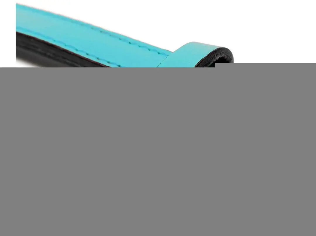 Gloria Padded Hondenhalsband Turquoise 35x1,5cm