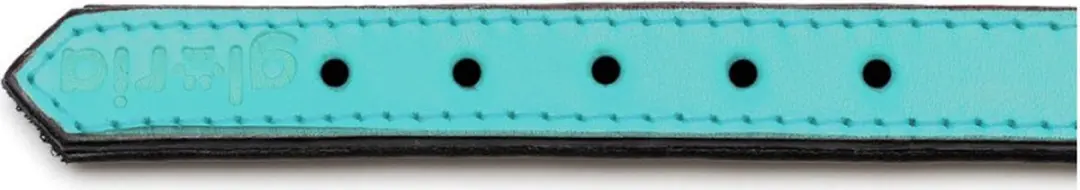 Gloria Padded Hondenhalsband Turquoise 35x1,5cm