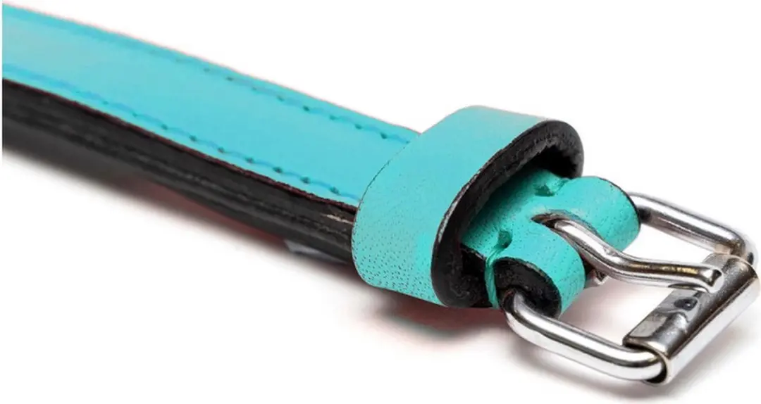 Gloria Padded Hondenhalsband Turquoise 35x1,5cm
