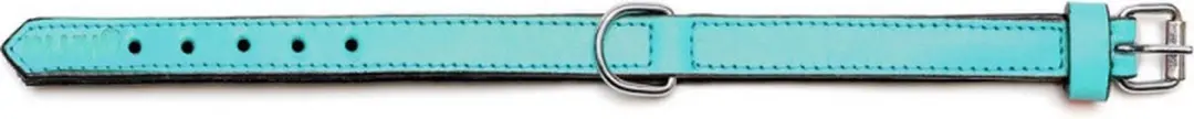 Gloria Padded Hondenhalsband Turquoise 35x1,5cm