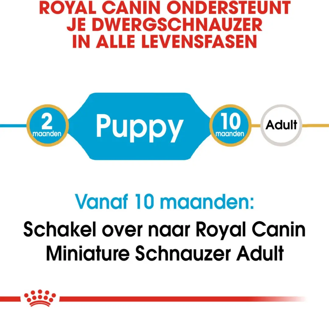 Royal Canin Mini Schnauzer Junior Hondenvoer 1,5kg