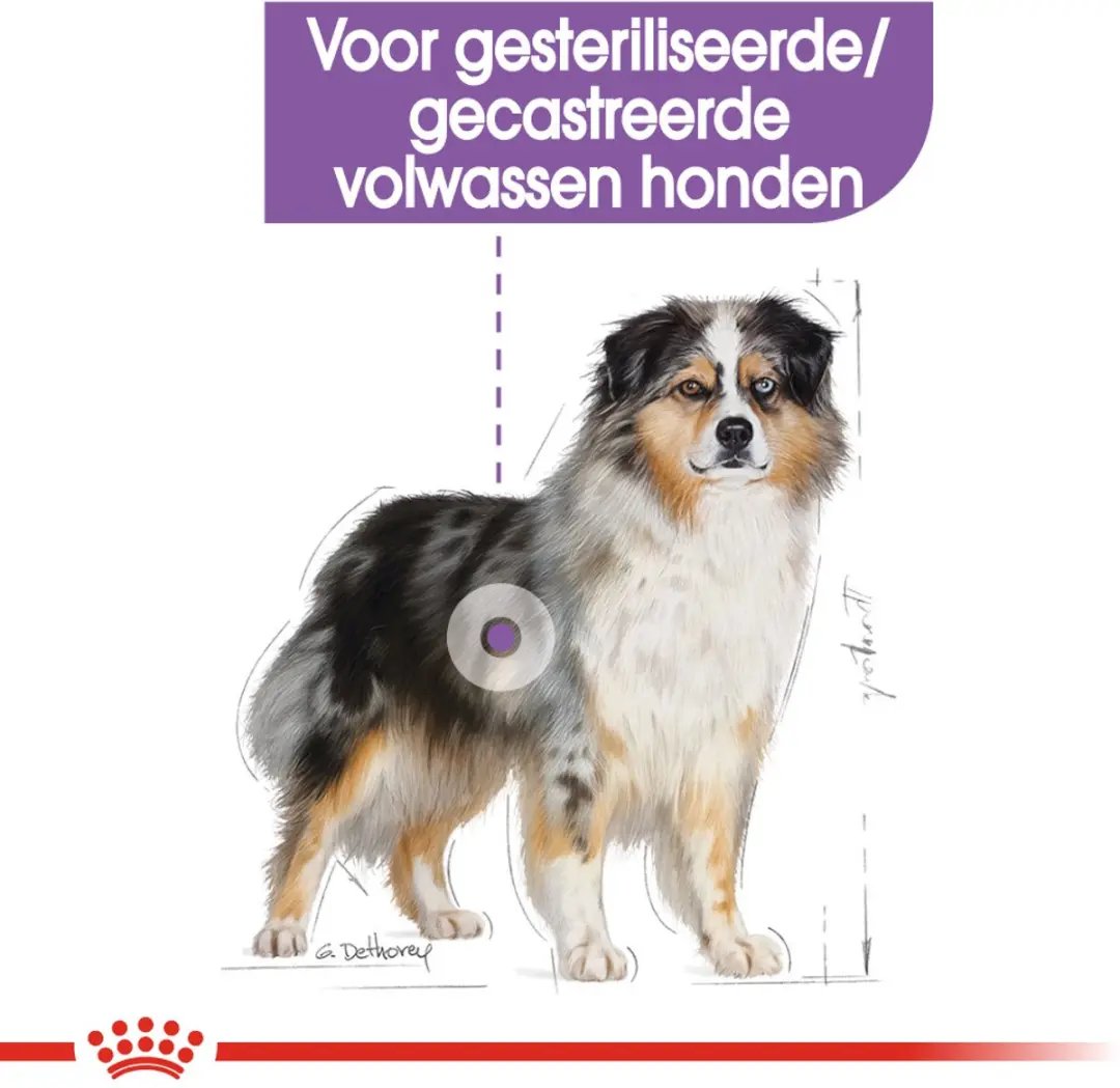 Royal Canin Sterilised Medium Hondenvoer - 3 kg