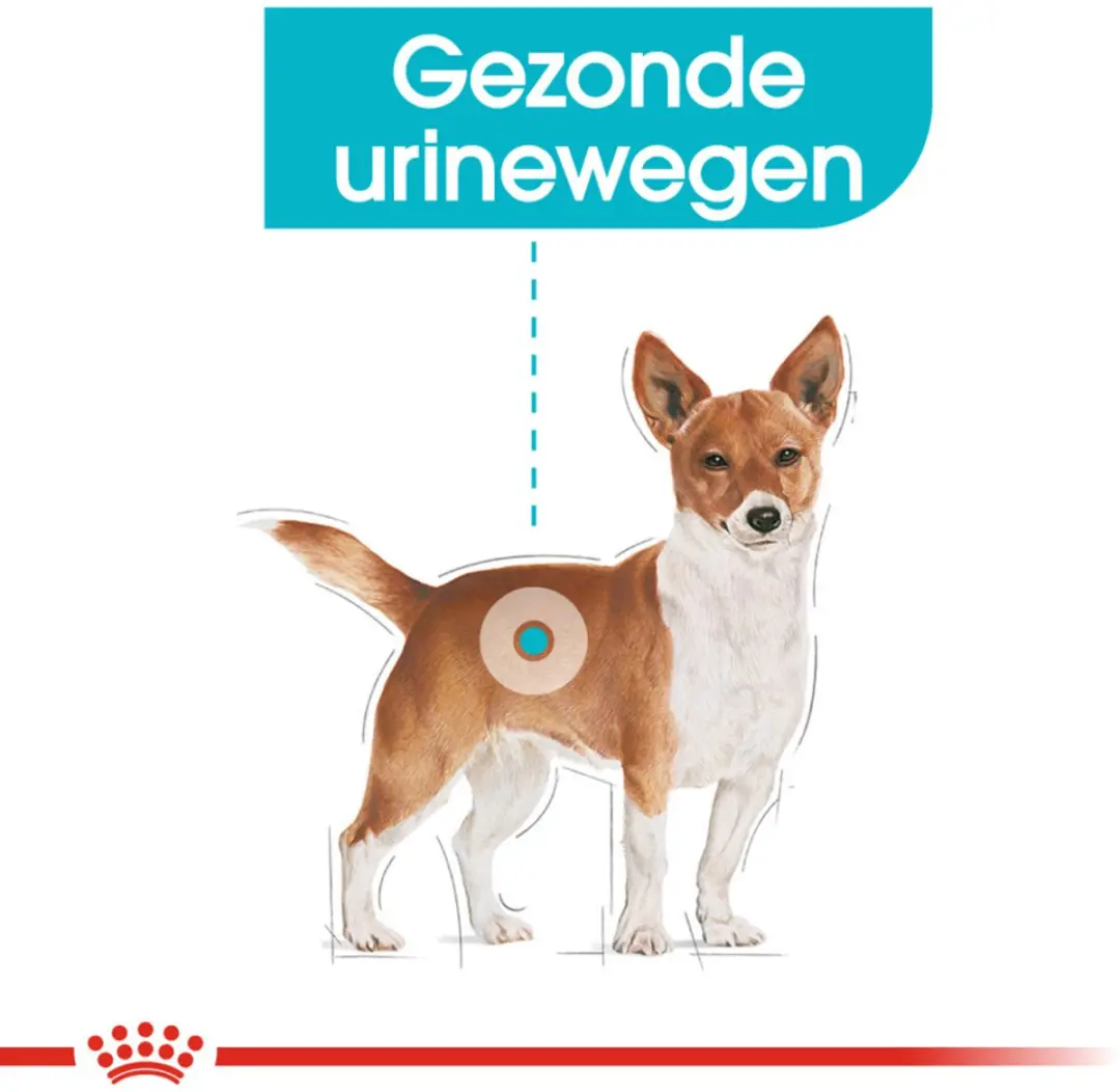 Royal Canin Urinary Care Hondenvoer Nat - 96 Stuks