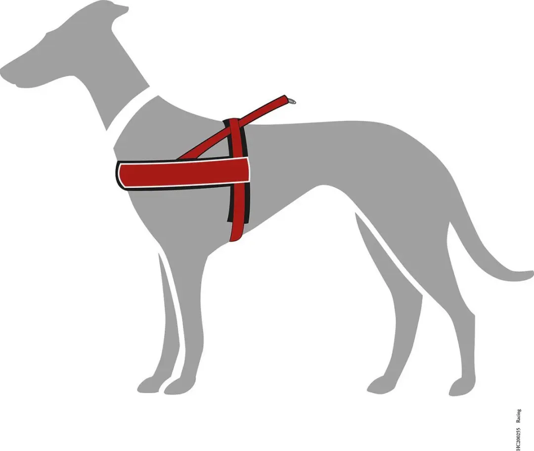 Hunter Norweger Racing Harnas - Medium - Rood/Zwart