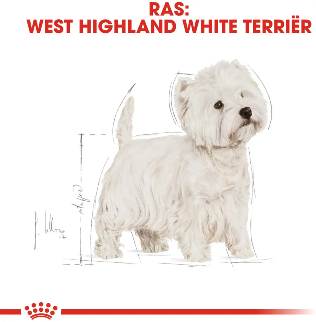 Royal Canin West Highland White Terrier Adult Hondenvoer - 1,5 kg