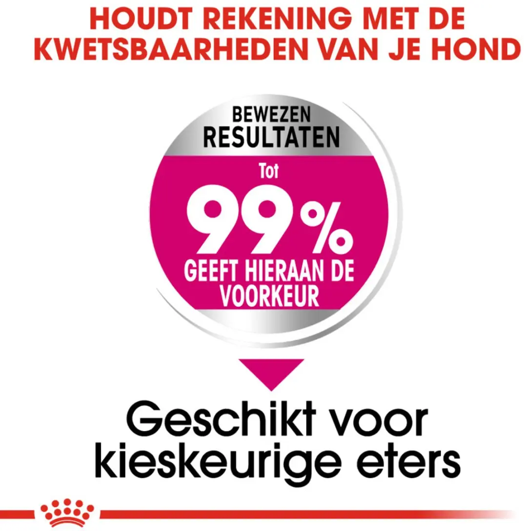 Royal Canin Exigent Mini Hondenvoer - 10x1kg