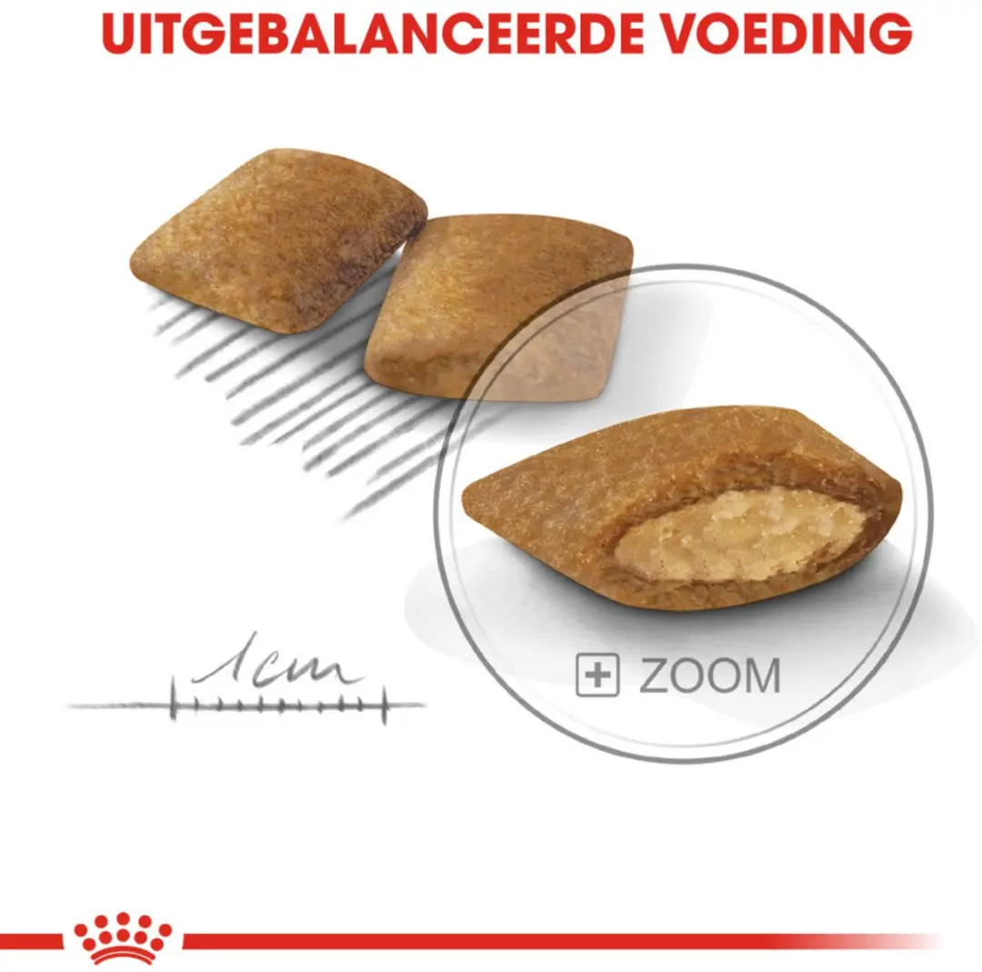Royal Canin Exigent Mini Hondenvoer - 10x1kg