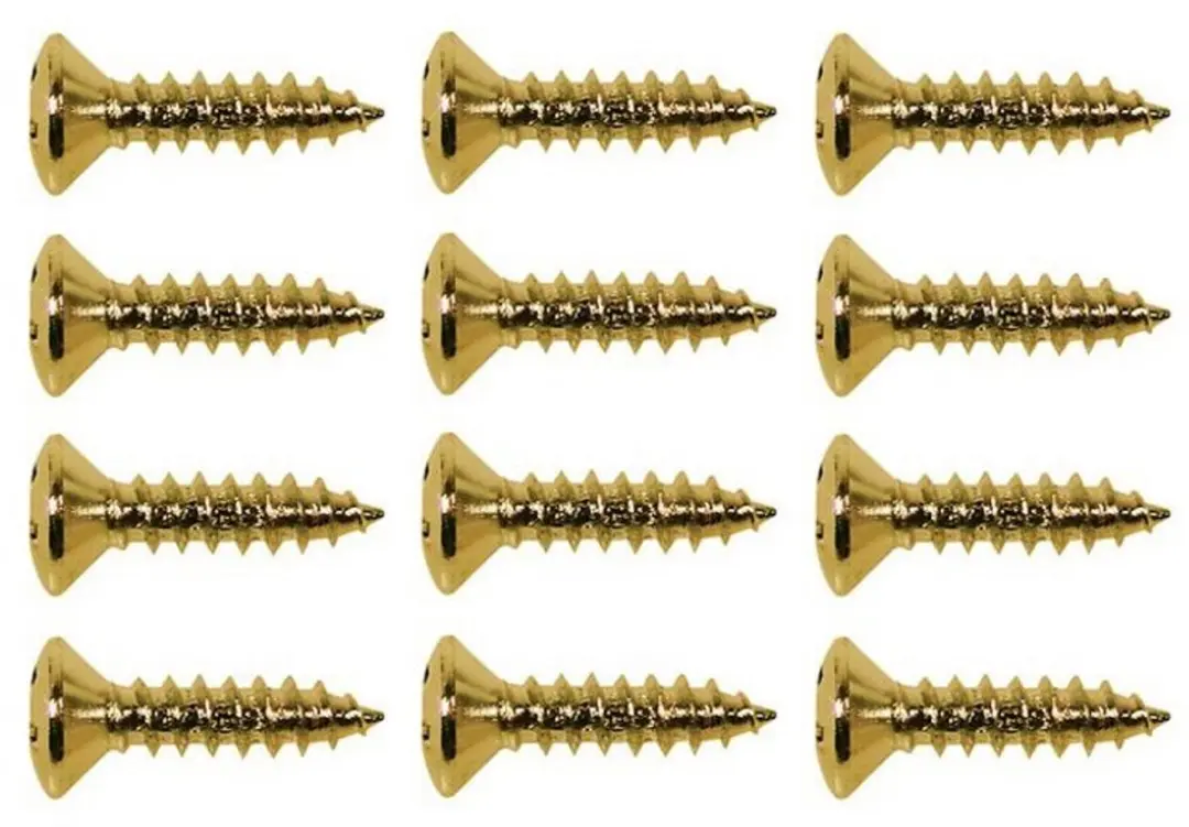 Boston TS-01-G Gouden Verzonken Schroeven 12 Stuks