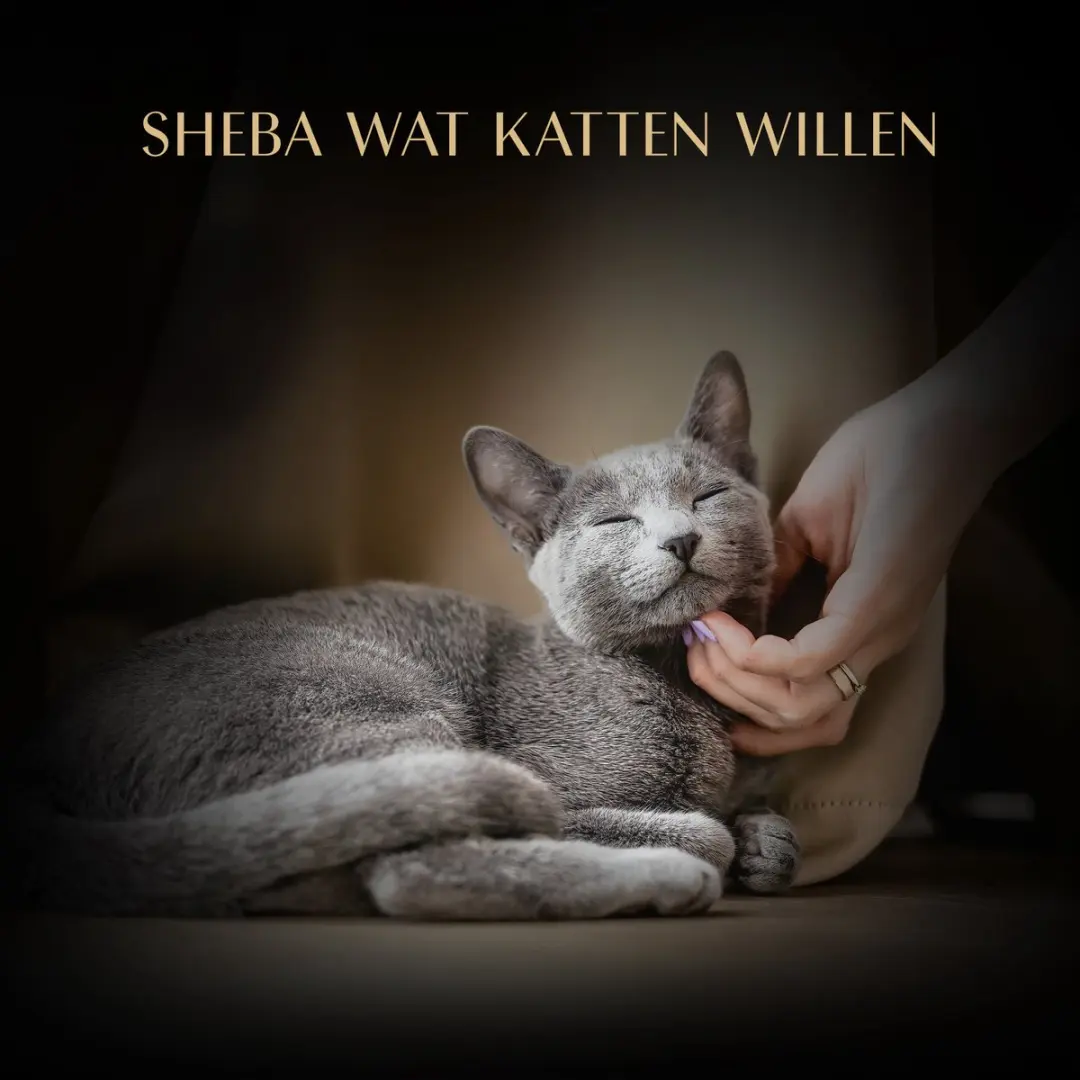 Sheba Soup Tonijn 4 x 40 gr