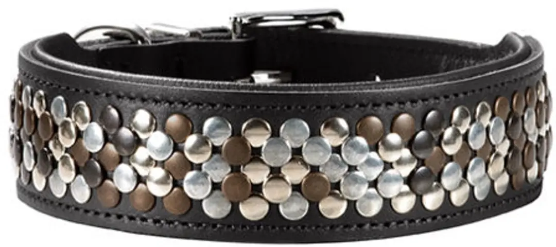 Hunter Halsband Arizona