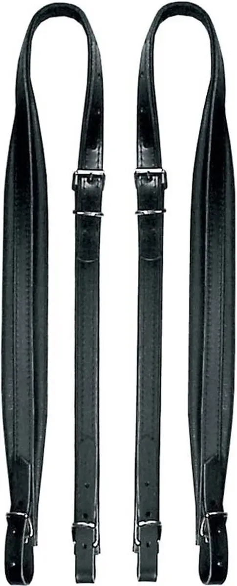Boston 60-X-CS Accordeonriemen 120 Bas