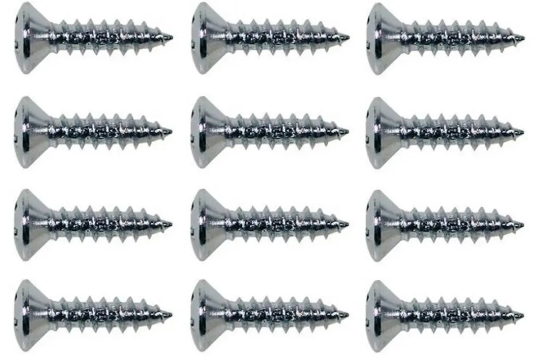 Boston TS-01-C Houten Tapping Schroeven 12 Stuks - 3x12mm Chroom