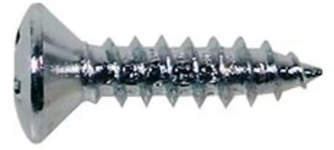 Boston TS-01-C Houten Tapping Schroeven 12 Stuks - 3x12mm Chroom