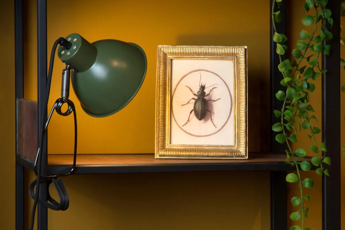 Lucide MOYS Klemlamp E27 Groen - afbeelding 6 van 6