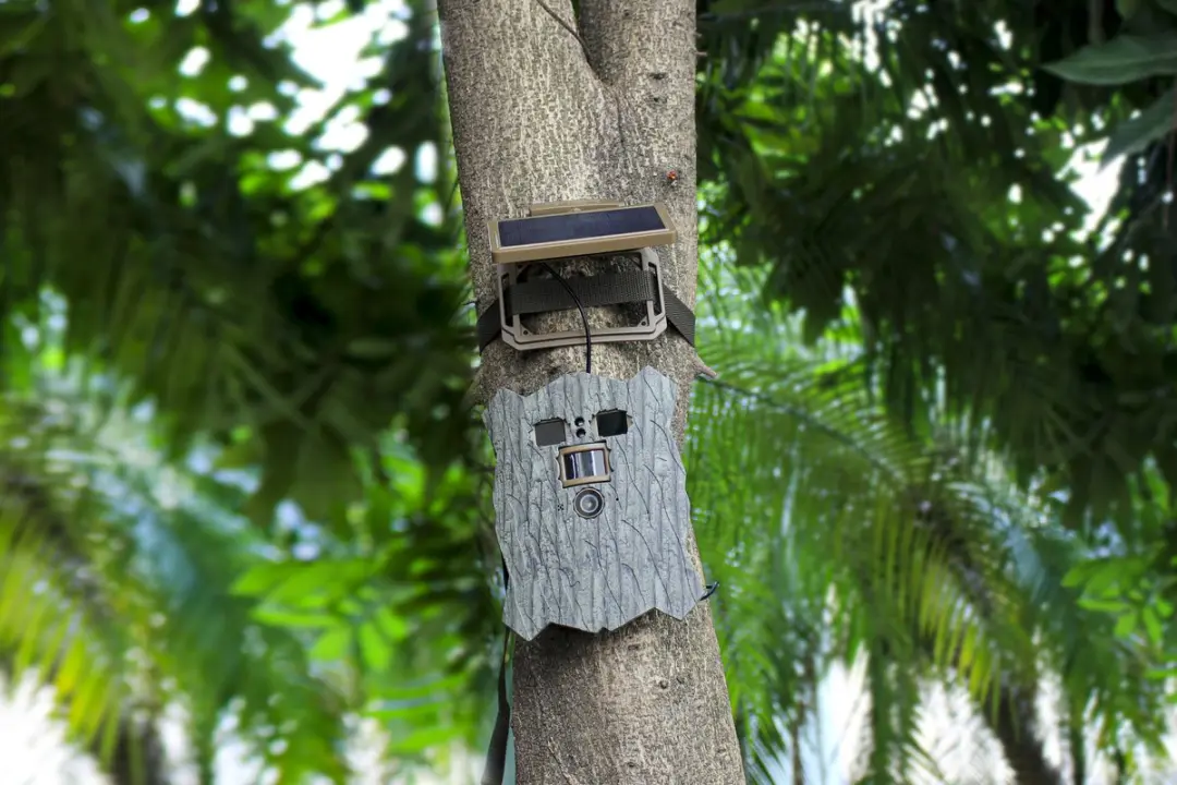 Stealth Gear Owl Solar 4K Wildcamera - 46MP - Groen/Grijs