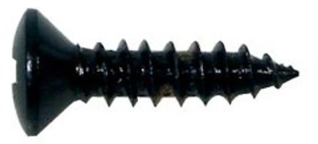 Boston TS-01-B Ovale Tapschroeven 3x12mm - 12 Stuks