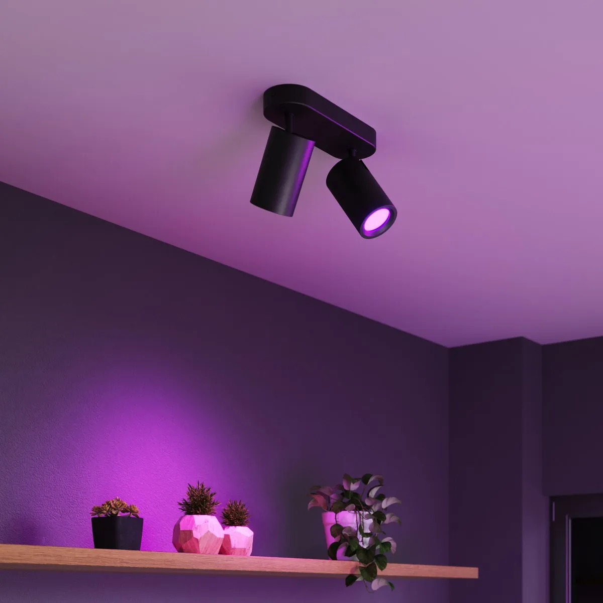 Calex Smart Plafondlamp 2-Lichts - Zwart