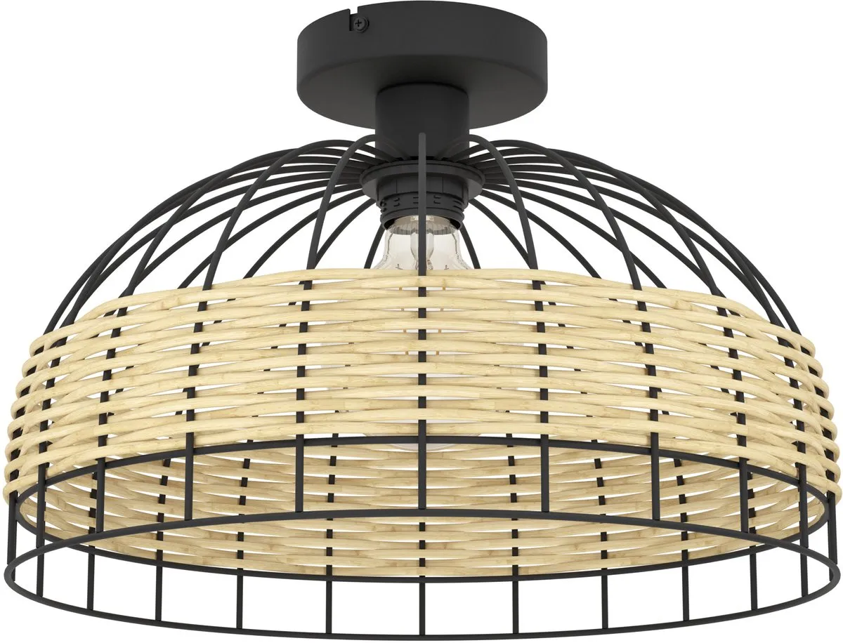 Eglo Anwick Plafondlamp E27