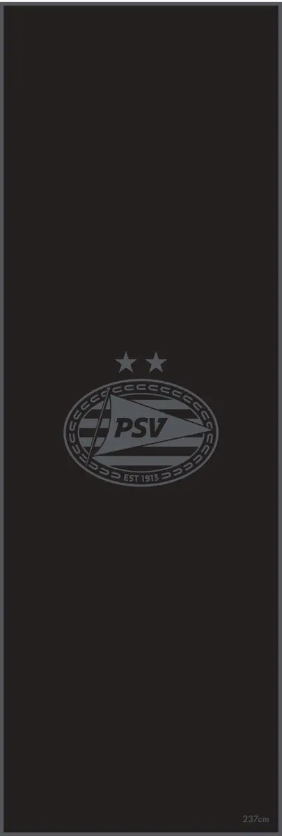 PSV Dartmat