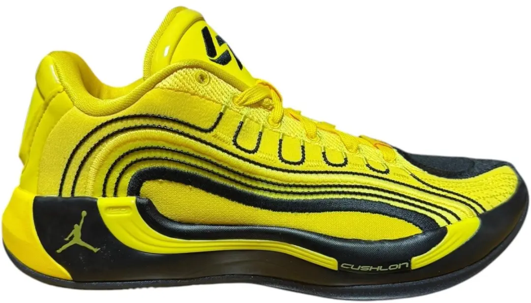 Jordan Luka 4 Q54 Basketbalschoenen