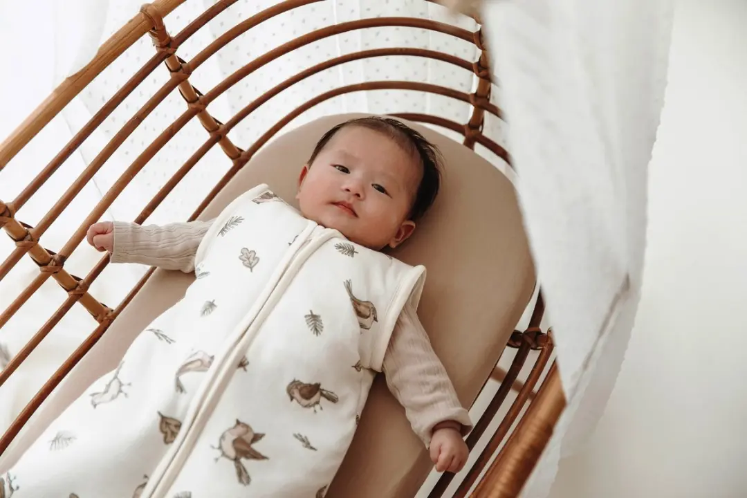 Meyco Baby Robin Slaapzak Afritsbare Mouwen 90cm - 2.5 TOG Multicolor